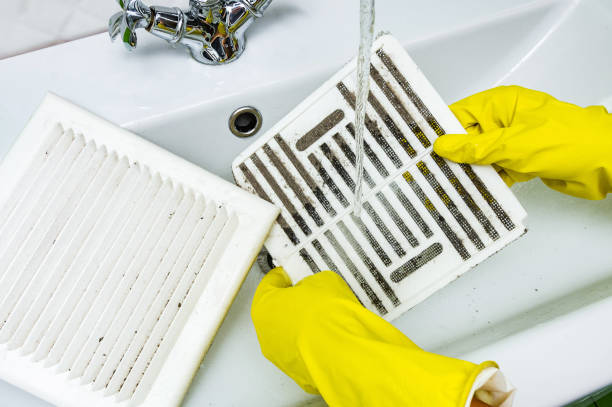 Best Air Vent Cleaning Services  in Pearl City, HI